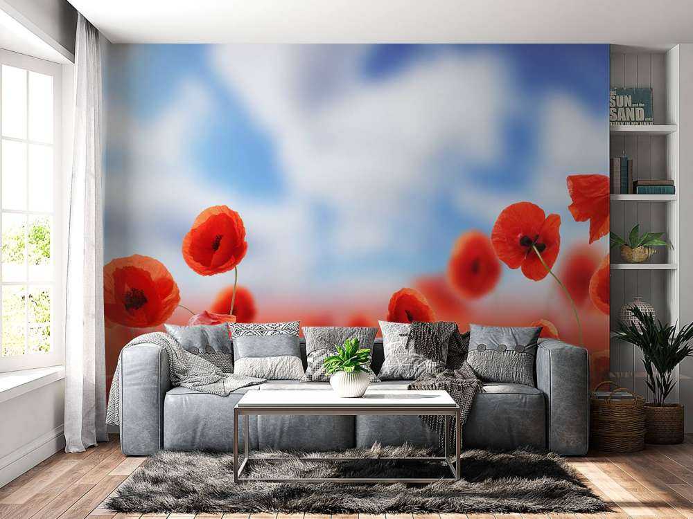 Blauer Himmel und rote Mohnblumen