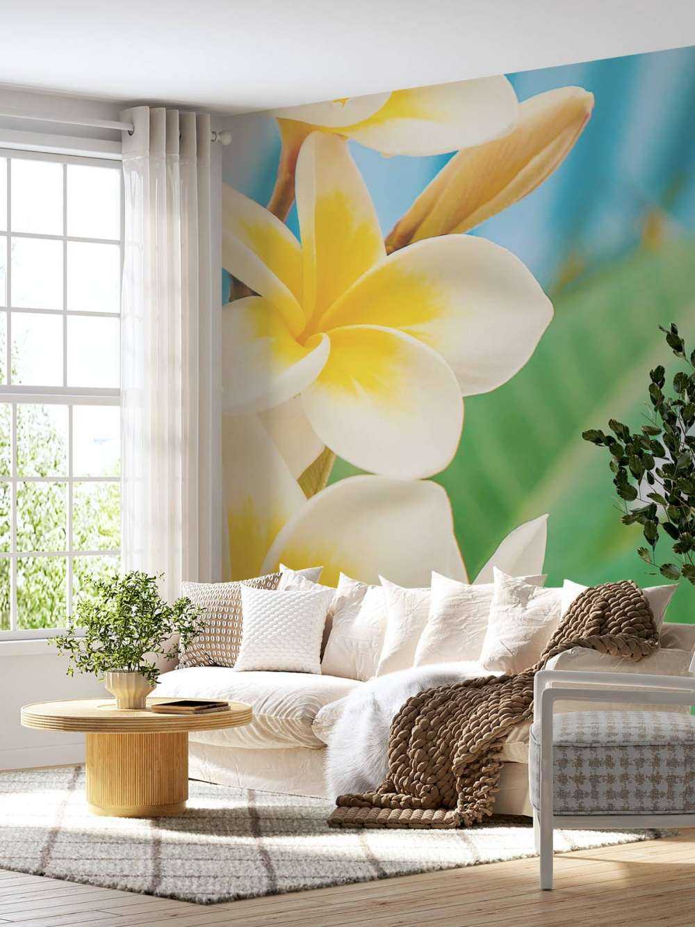 Weiß Gelbe Plumeria Blume