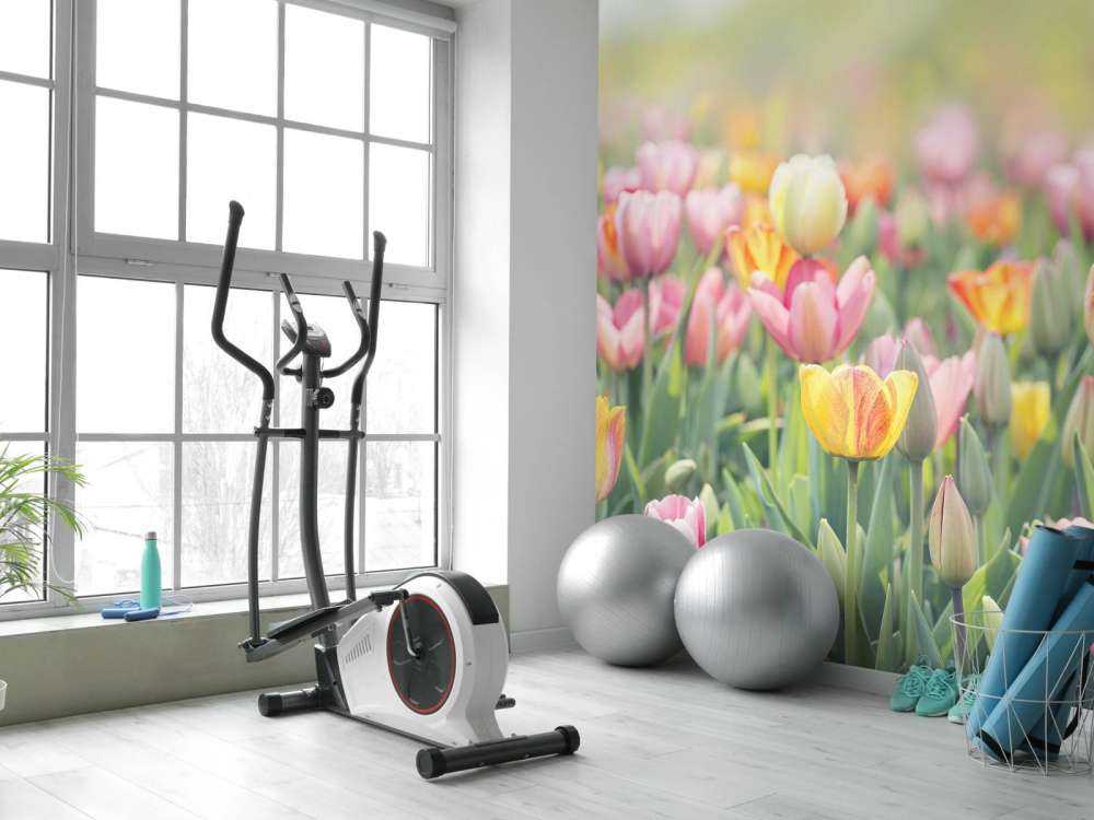Bunte Tulpen