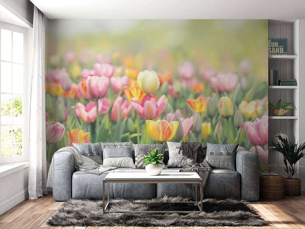Bunte Tulpen