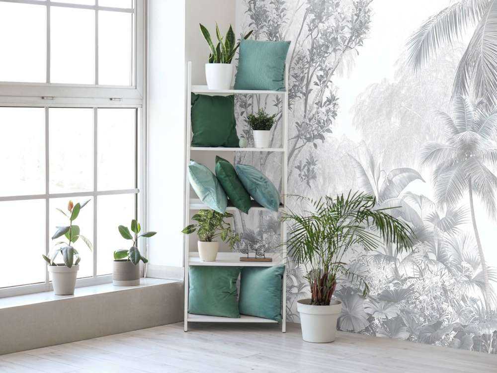 Tropische Mistpalmen