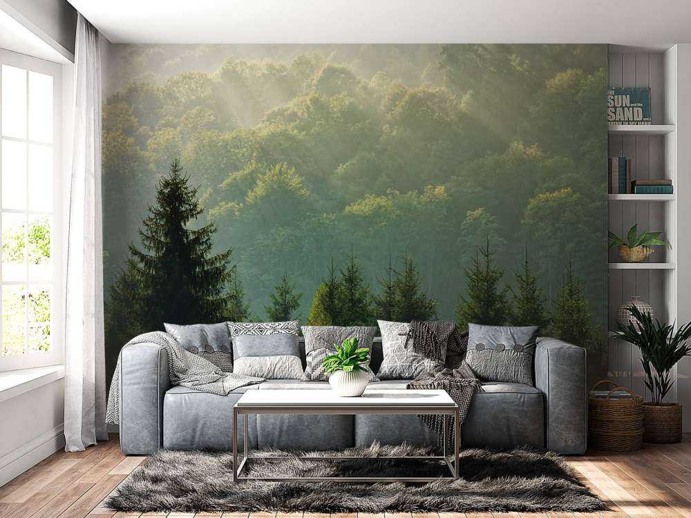 Sonnenstrahlen über dem Wald