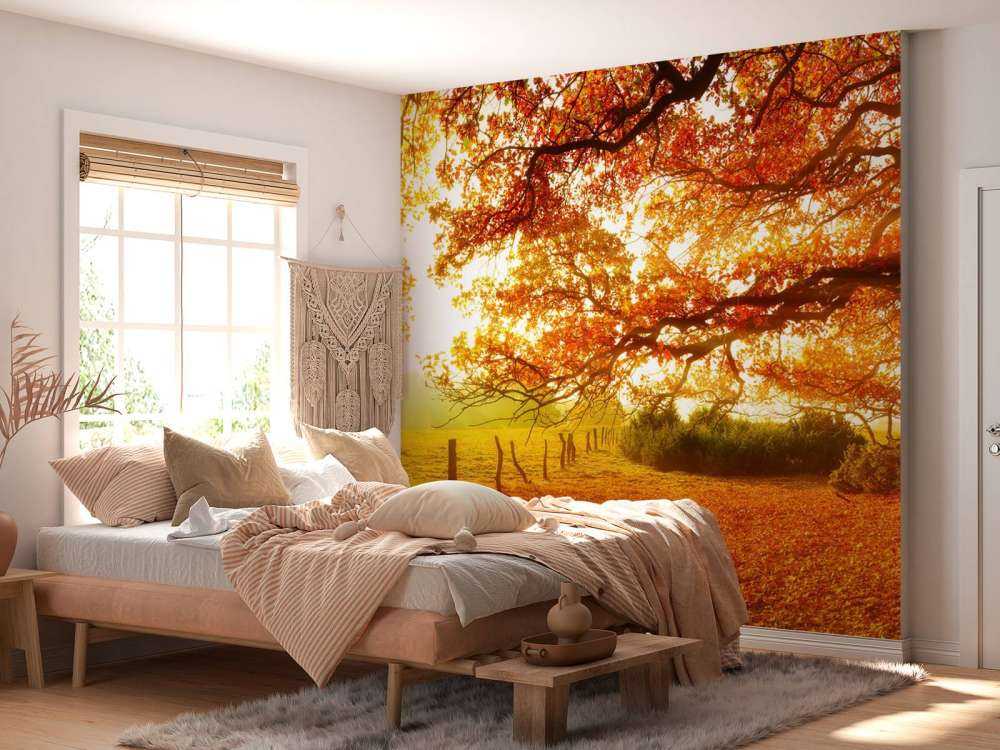 Herbstlandschaft mit Wald und Wiese