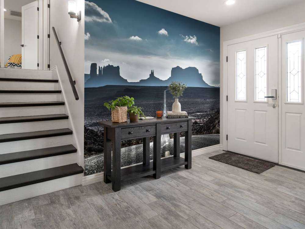Arizona