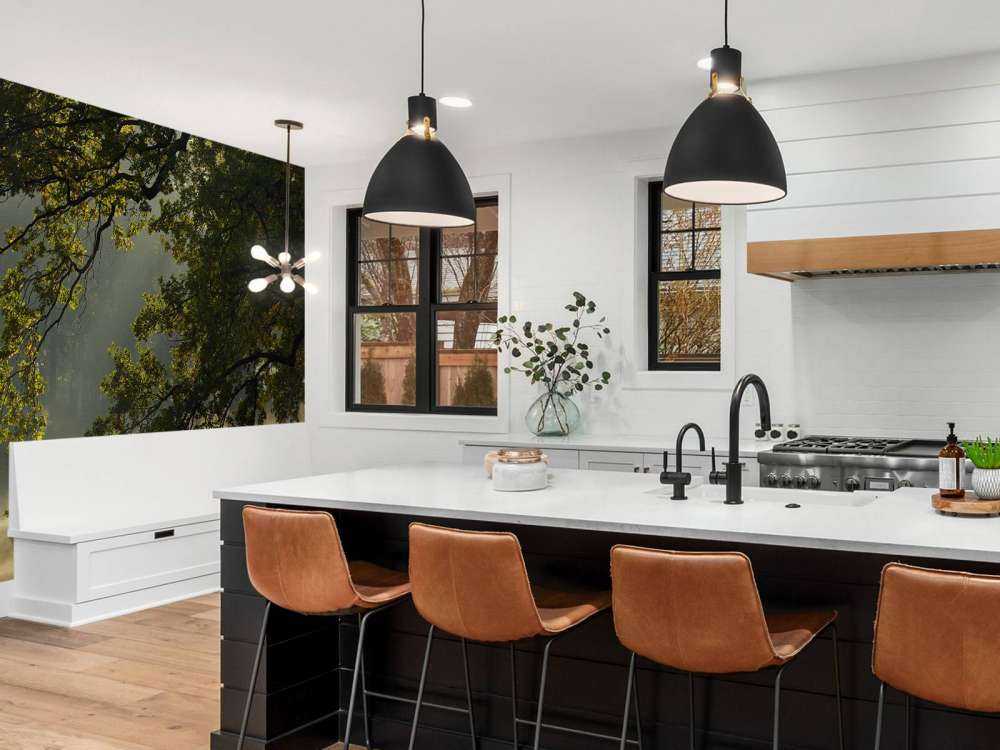 Überhängende Äste über dem Wasser