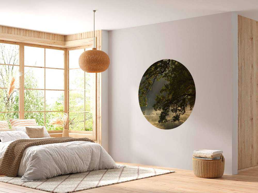 Überhängende Äste über dem Wasser