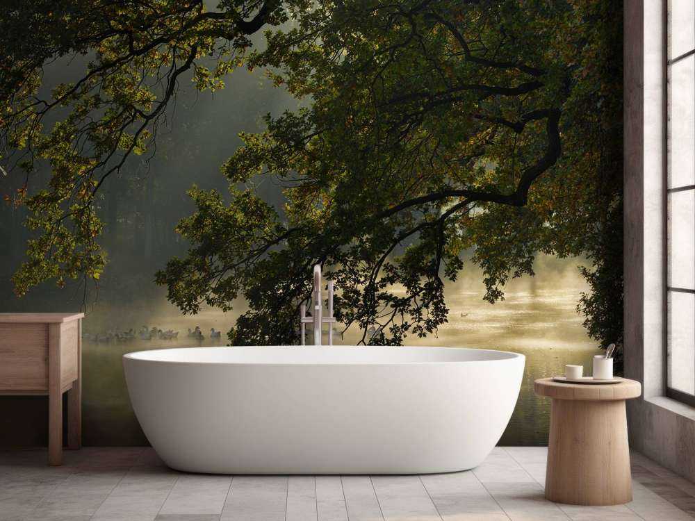 Überhängende Äste über dem Wasser