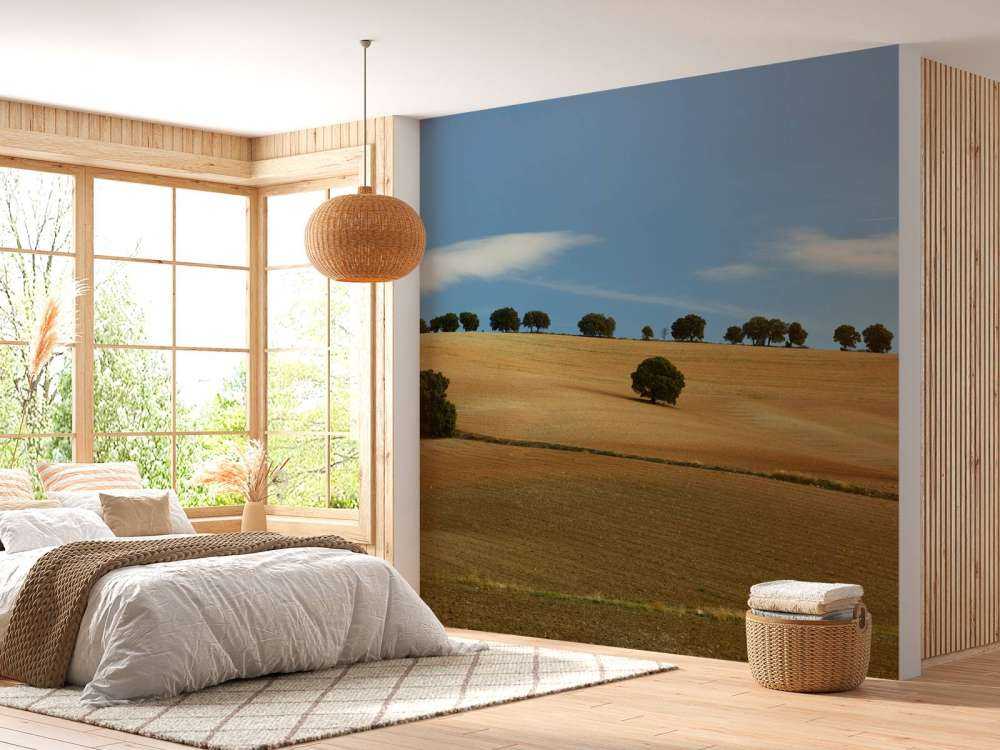 Bäume in spanischer Landschaft