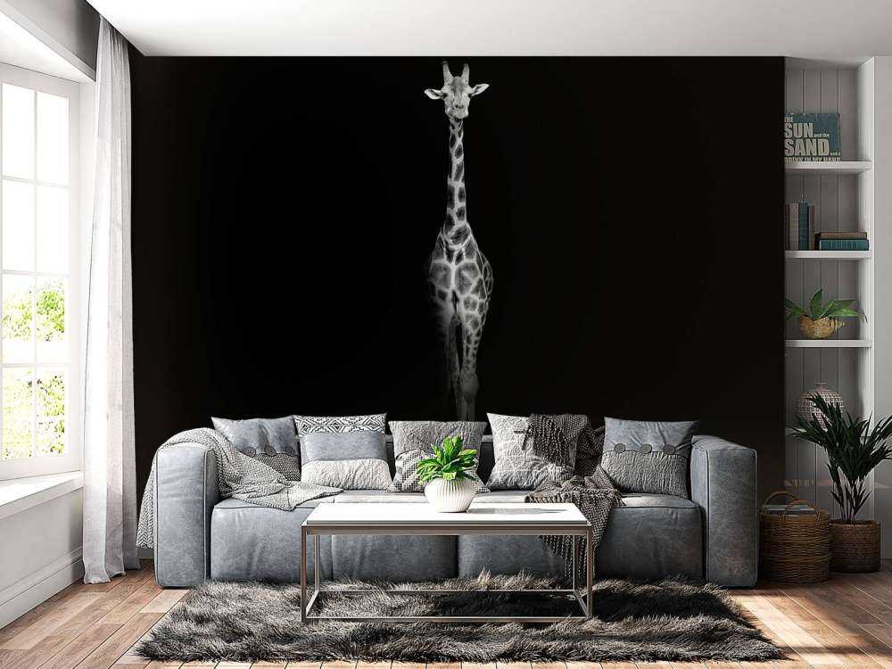 Giraffe schwarz-weiß