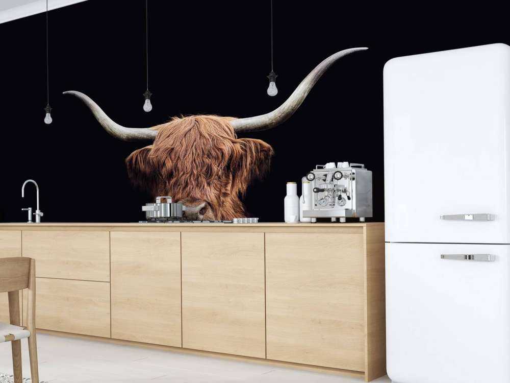 Alte Schottischer Hochländer