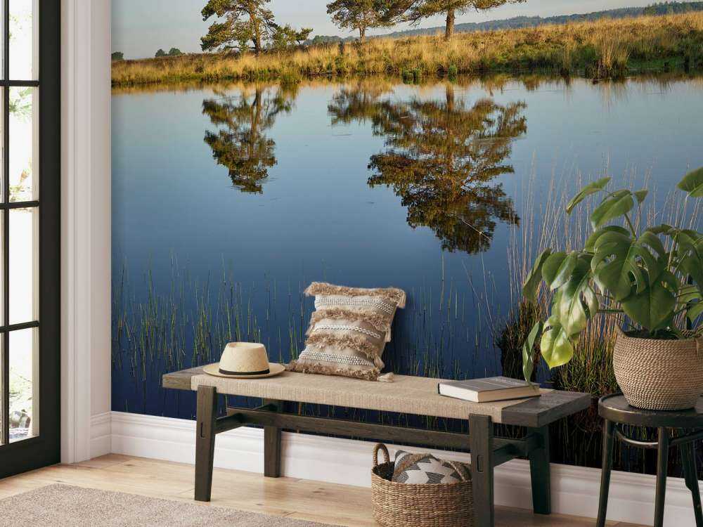 Waldland in der Heide