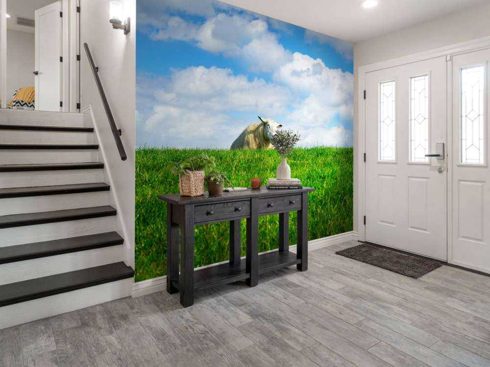 Schafe auf dem Deich