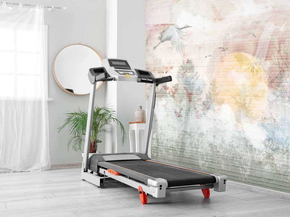 Sonnenaufgang im Nebel