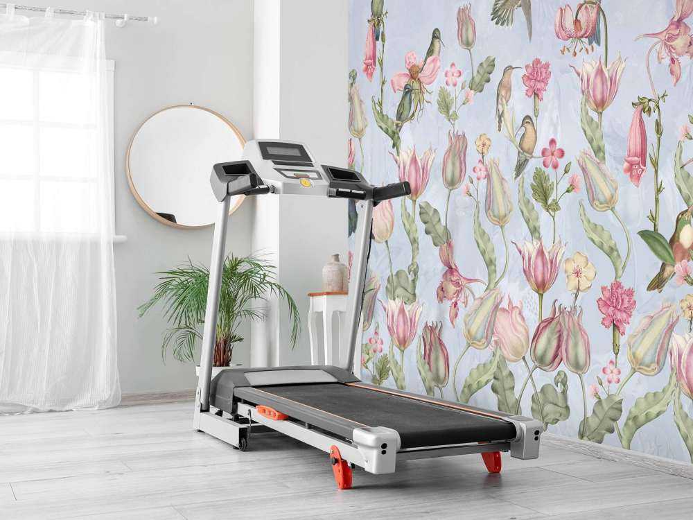 Frühling Kolibri Symphonie - Pastellblaue Serenade