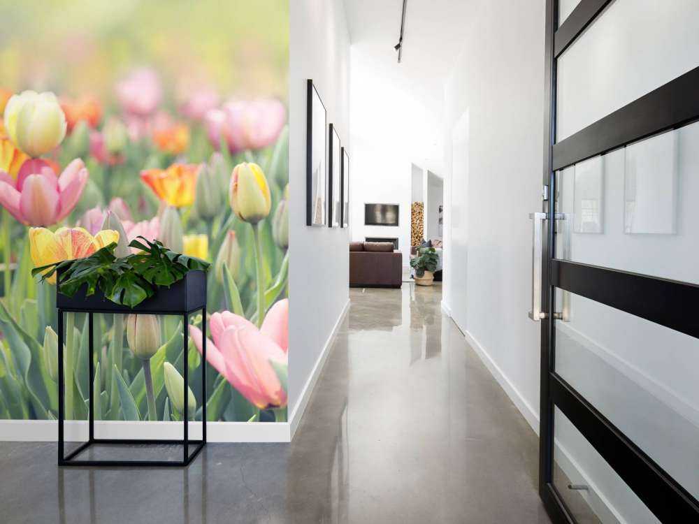 Bunte Tulpen
