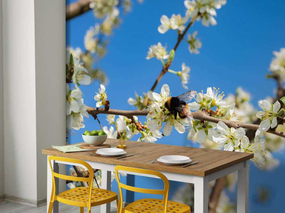 Hummel mit weißen Blüten