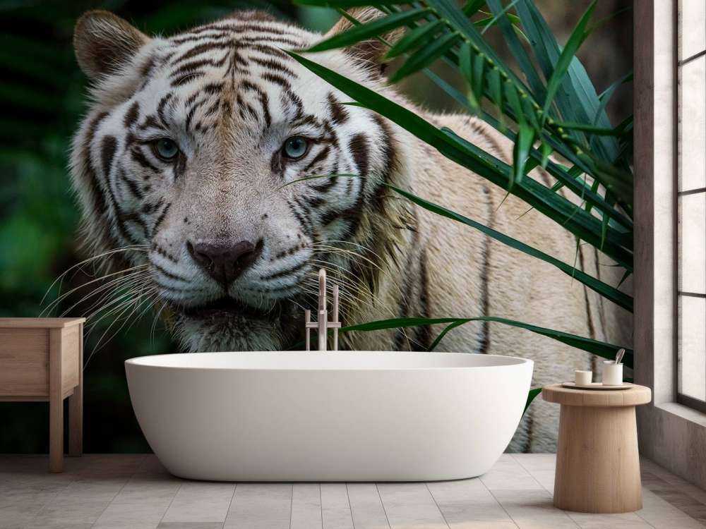 Weißer Tiger