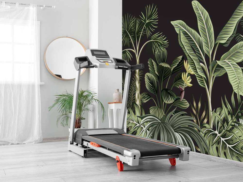 Tropische Palme auf dunklem Hintergrund