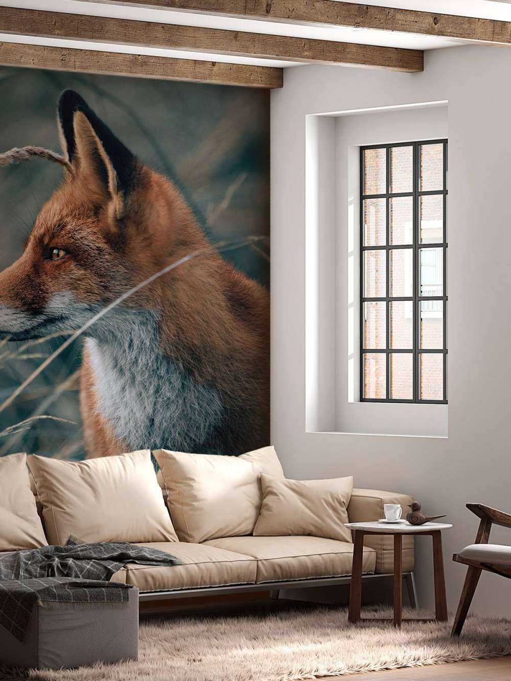 Fuchs in den Dünen