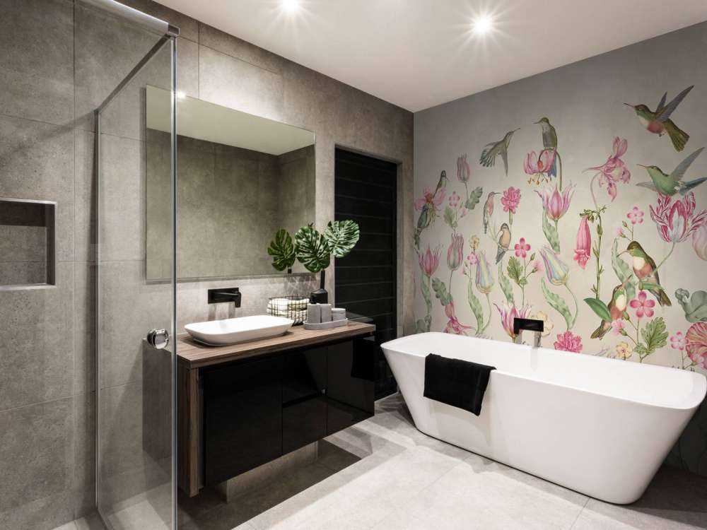 Kolibri-Tulpen-Symphonie