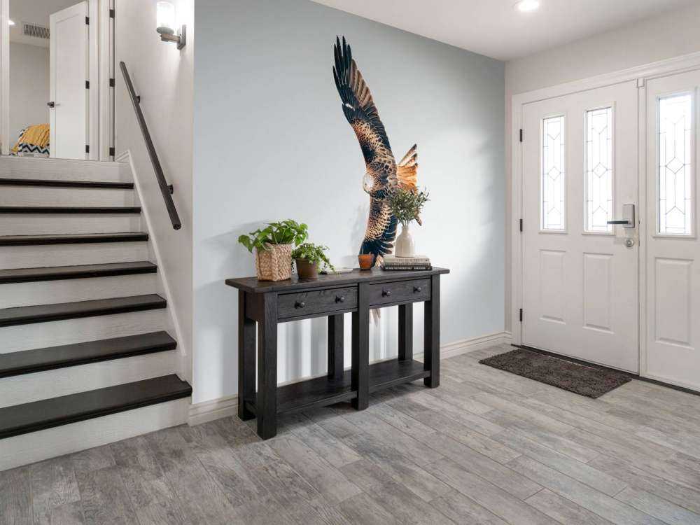 Rotmilan mit ausgebreiteten Flügeln