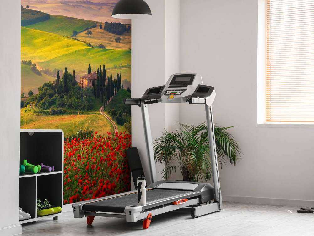 Roter Mohn mit italienischer Landschaft