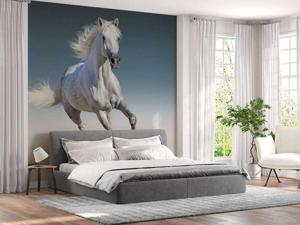 Galoppierendes Pferd