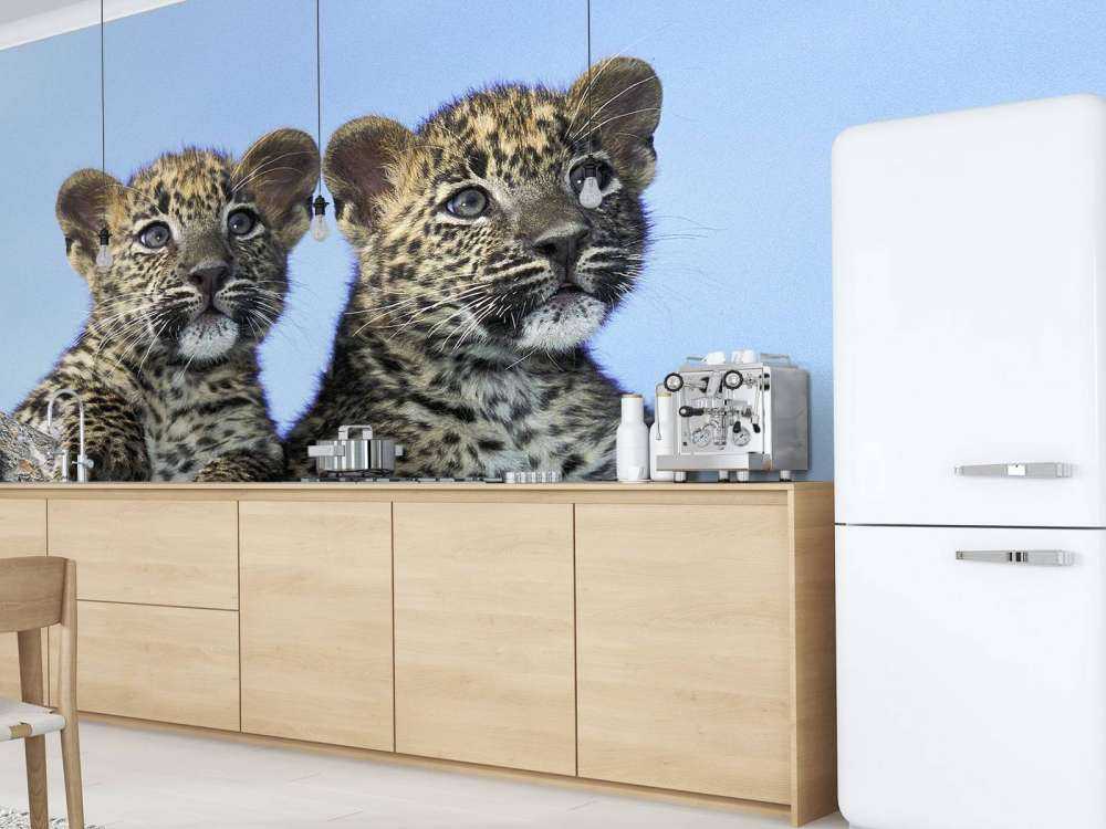 Kleine Leoparden
