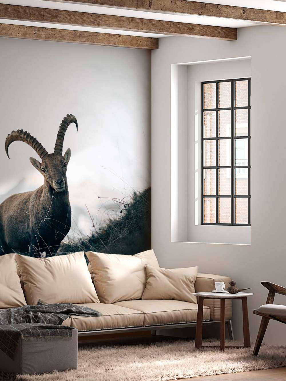 Steinbock in den Bergen