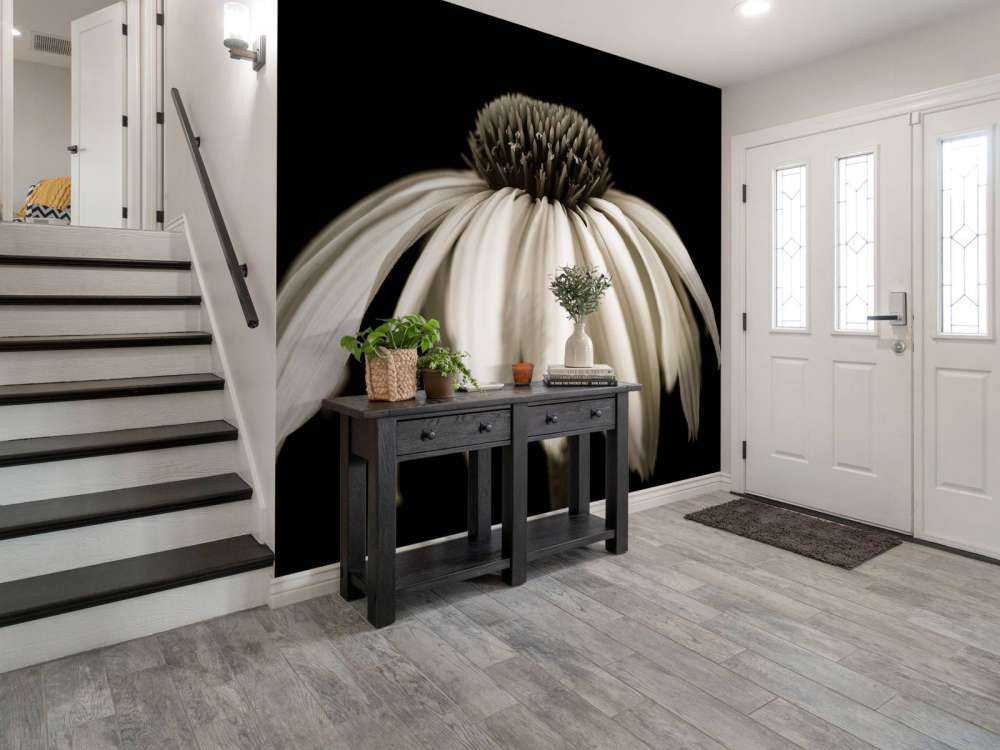 Zapfenblume Nahaufnahme