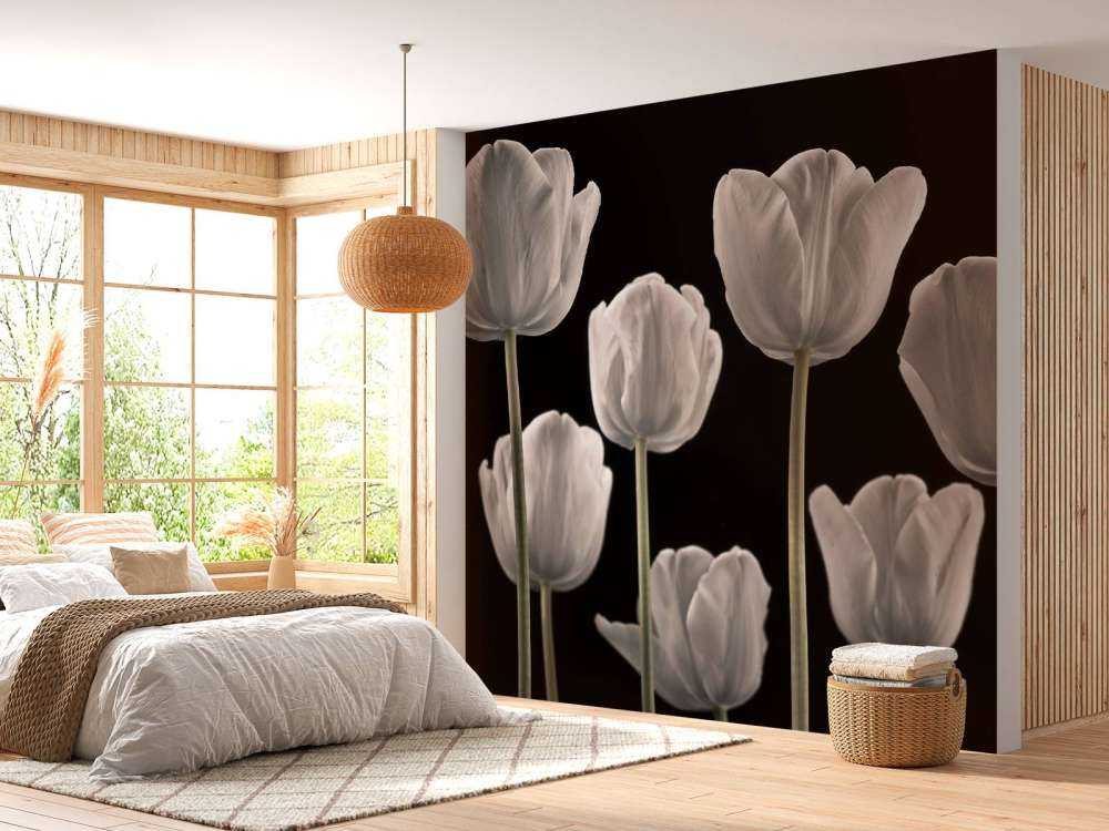 Verschiedene Tulpen