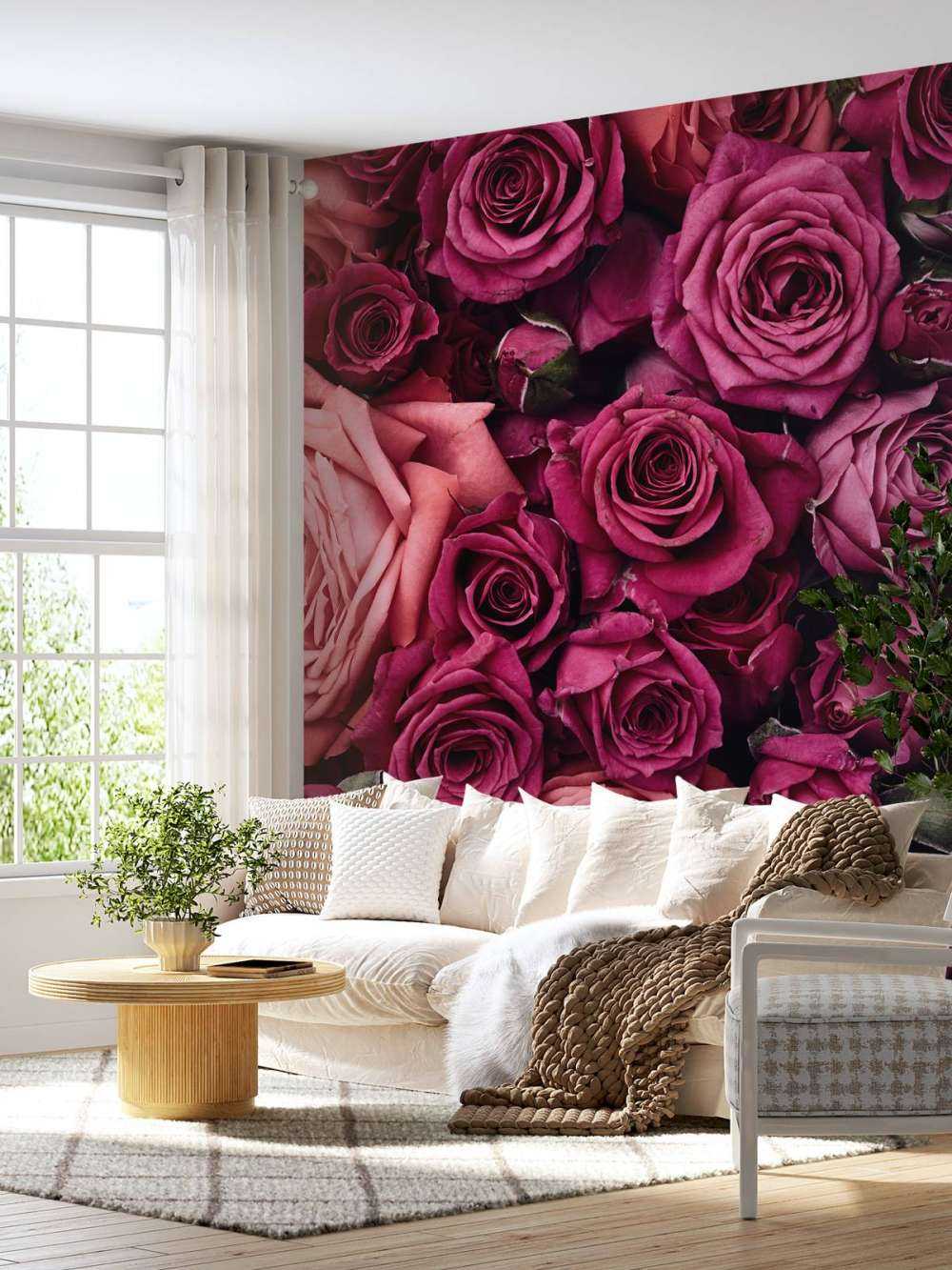Rosa Rosen