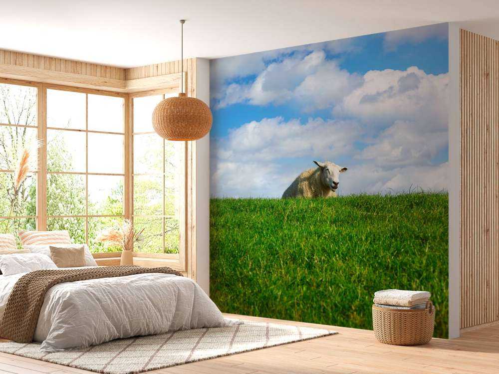 Schafe auf dem Deich