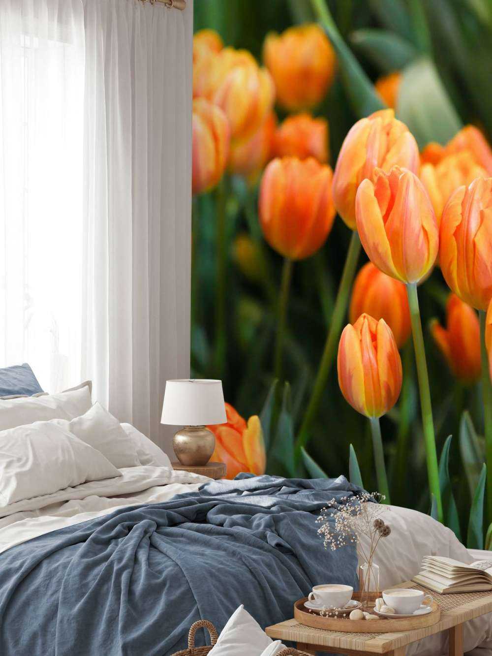 Orangefarbene Tulpen