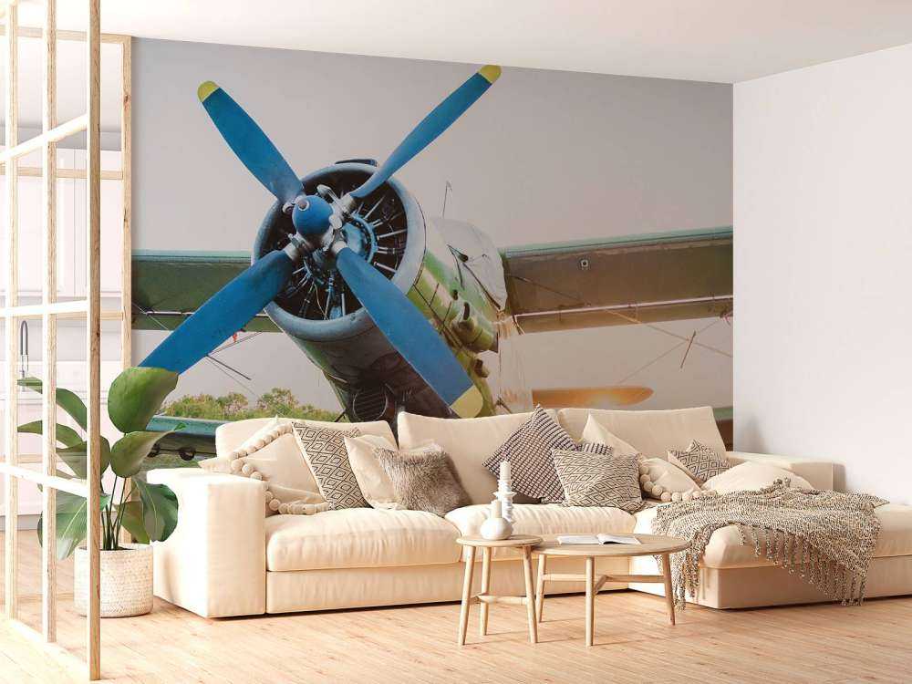 Kleines einmotoriges Privatflugzeug