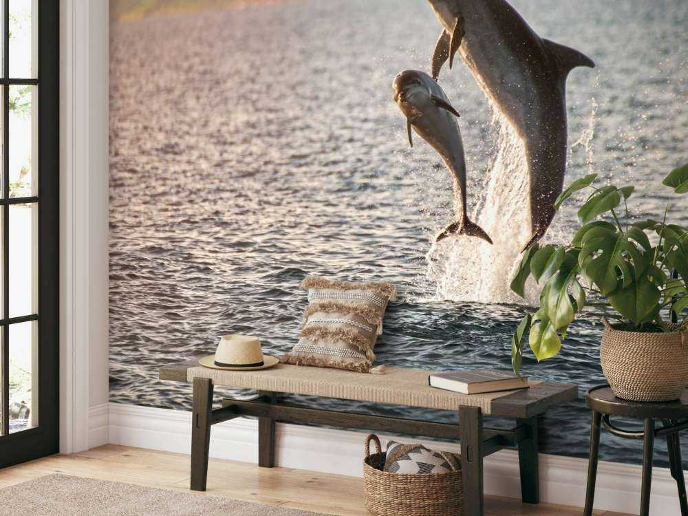 Zwei springende Delfine