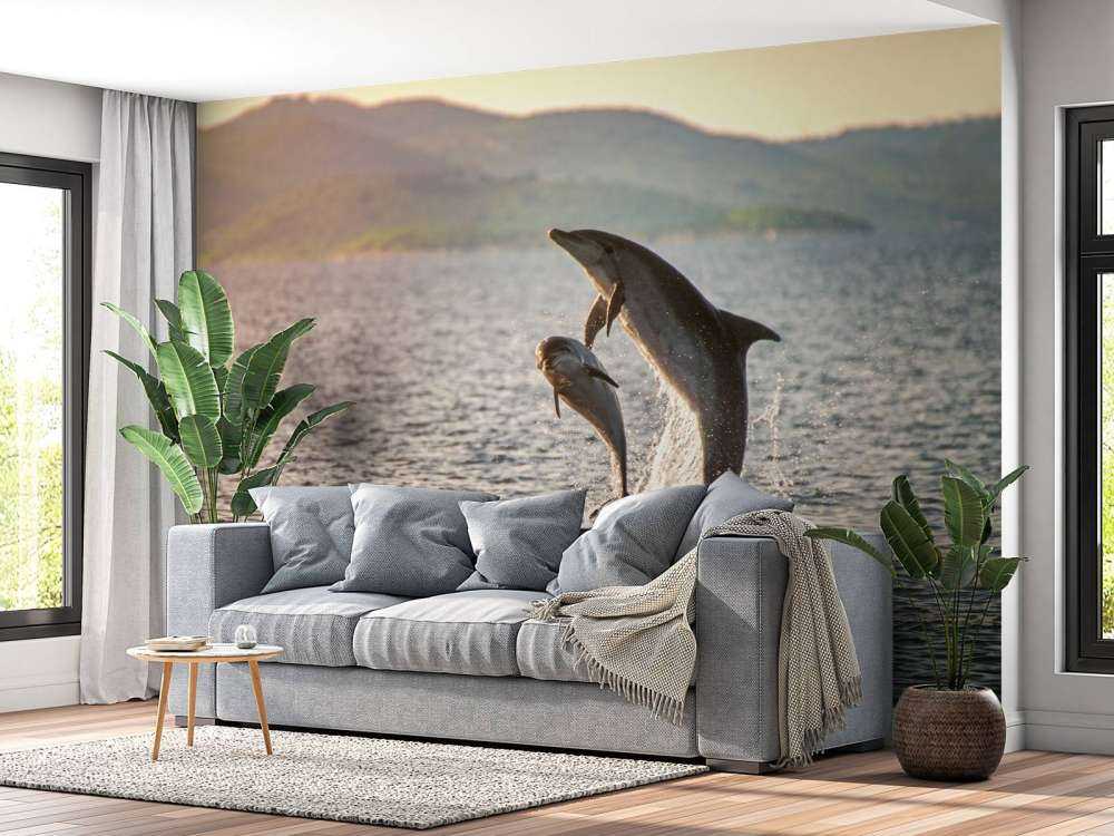 Zwei springende Delfine