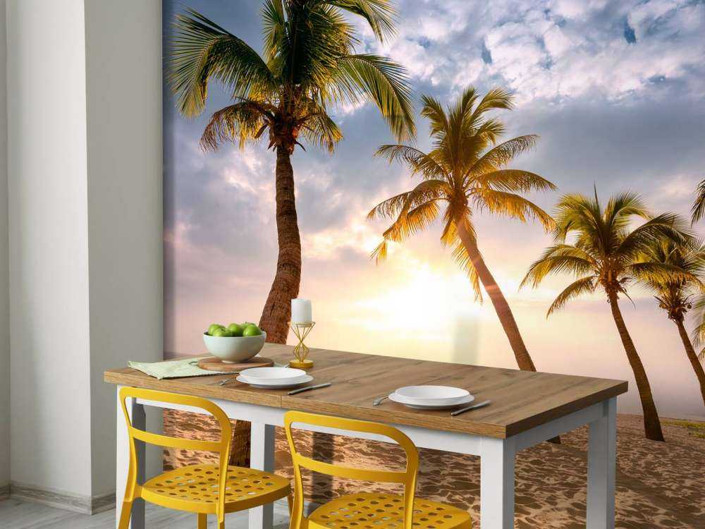 Kokosnusspalmen gegen Sonnenuntergang