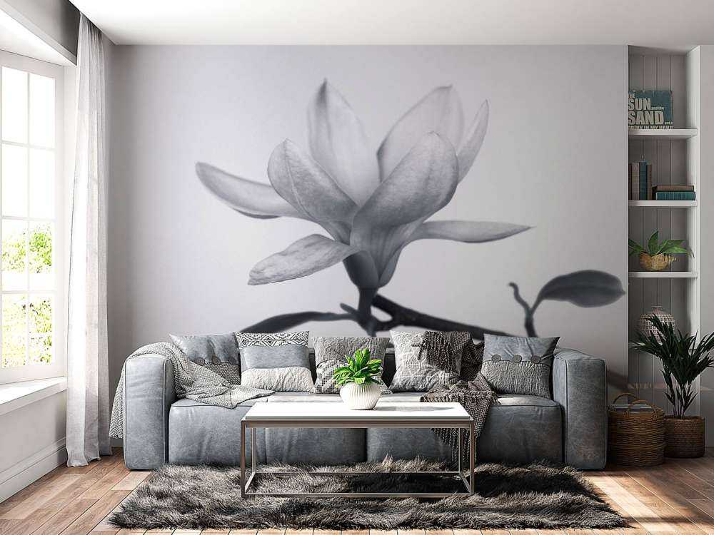 Schöne Magnolie