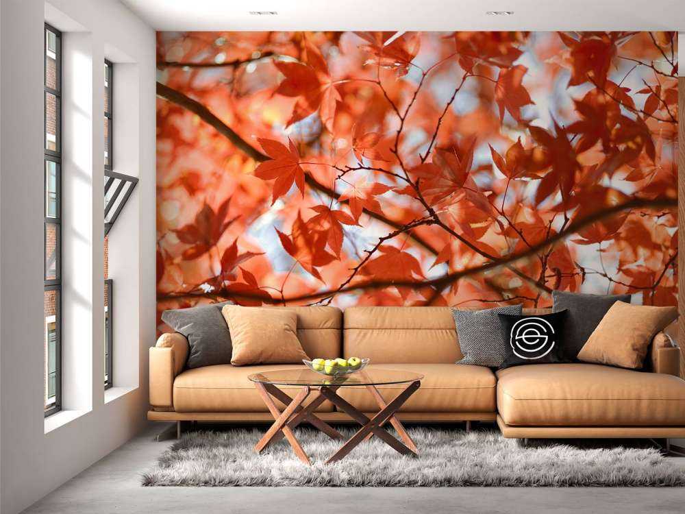 Bunte Herbstblätter