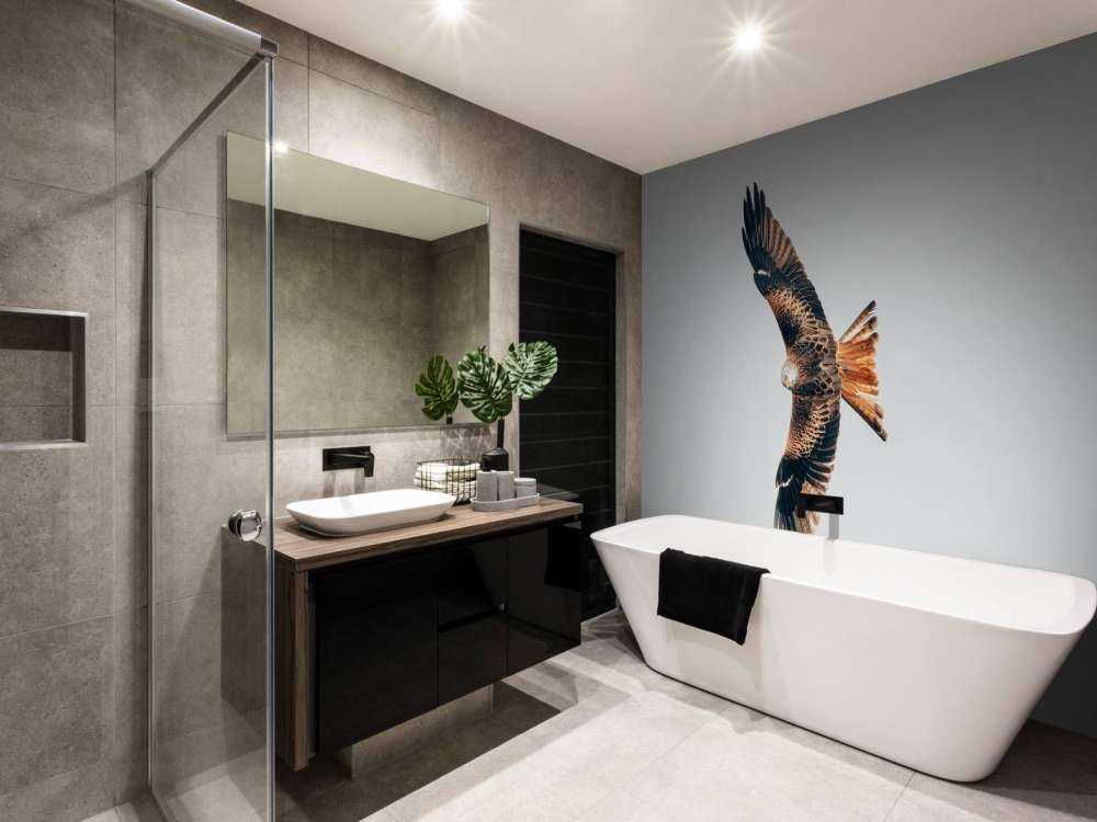 Rotmilan mit ausgebreiteten Flügeln