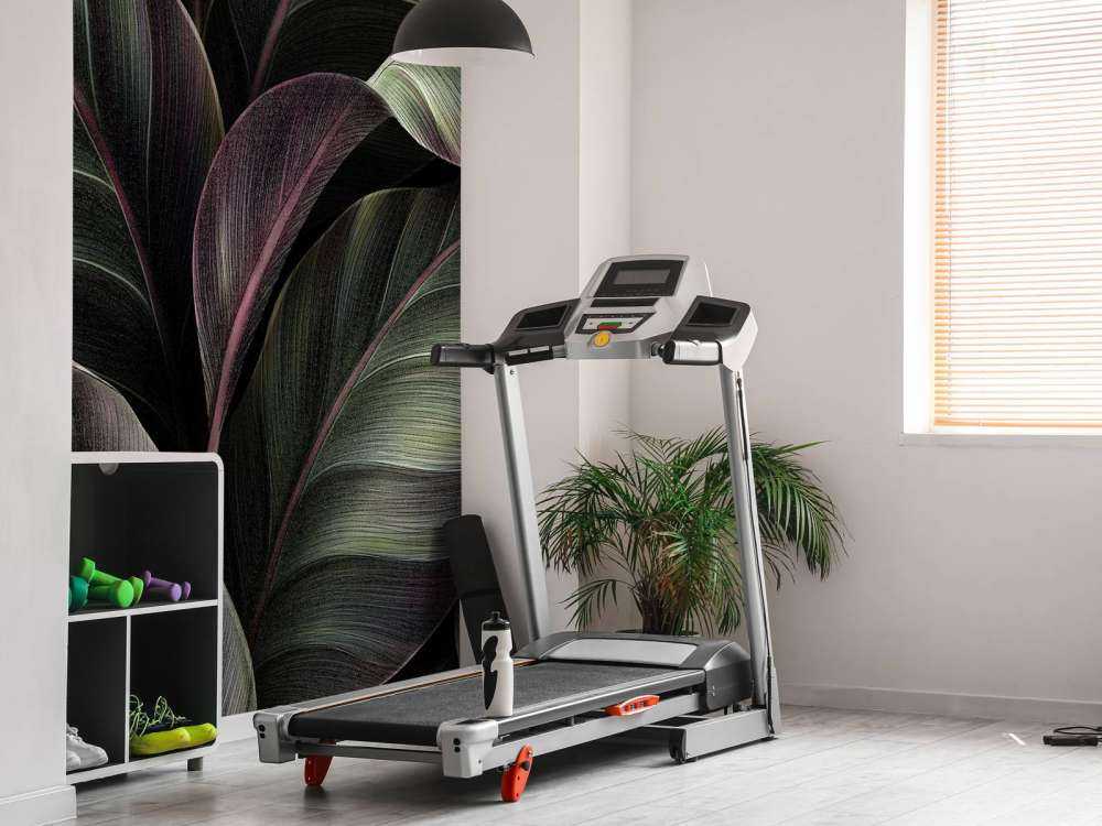 Blätter mit dunklem Hintergrund