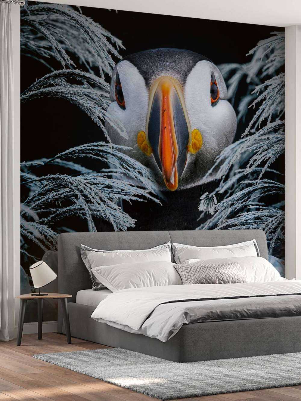 Atlantic Puffins Porträt