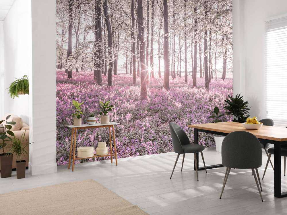 Wald im Frühling