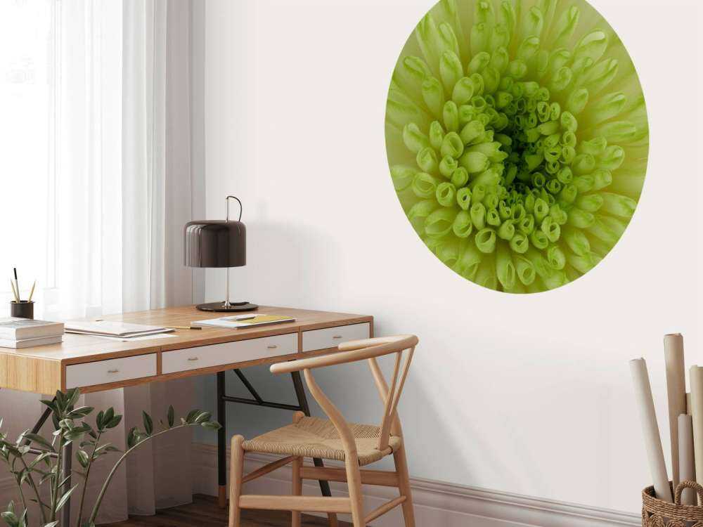 Blume in Nahaufnahme