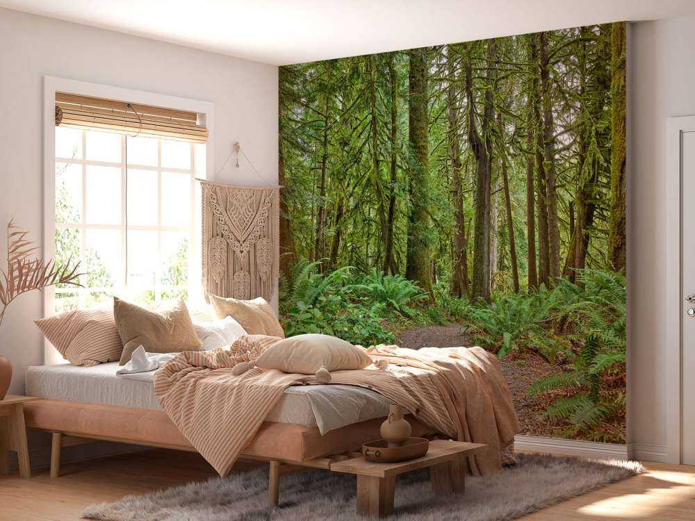 Weg mit Steinen durch den Wald 