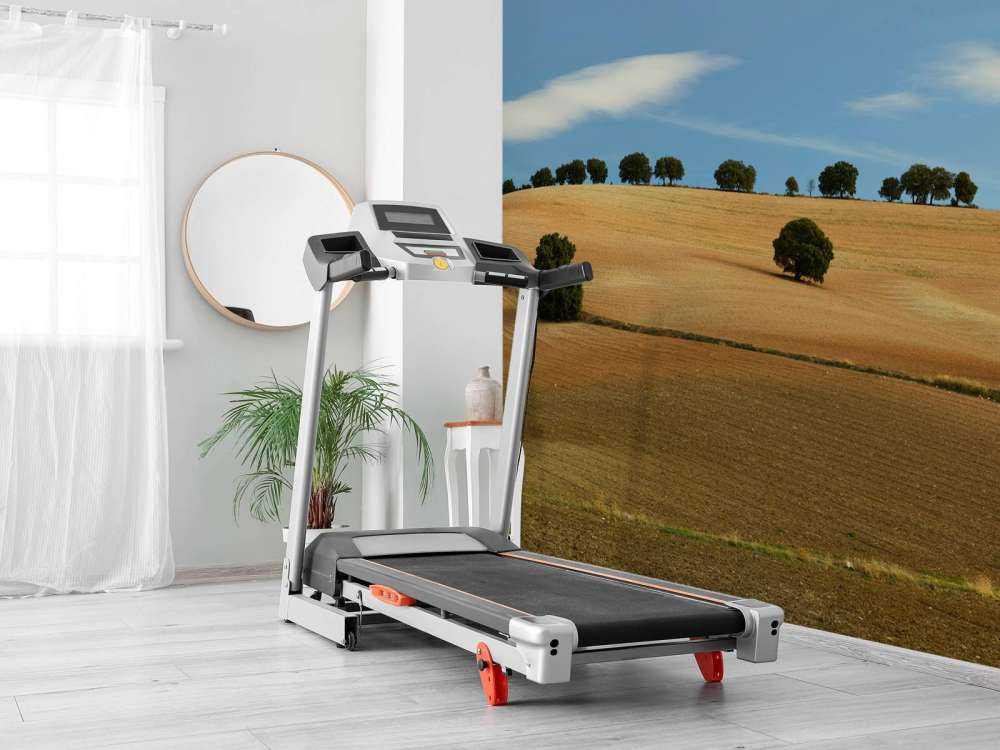 Bäume in spanischer Landschaft