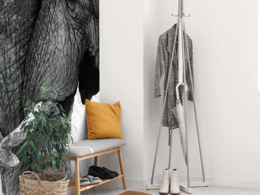 Fototapete Elefanten