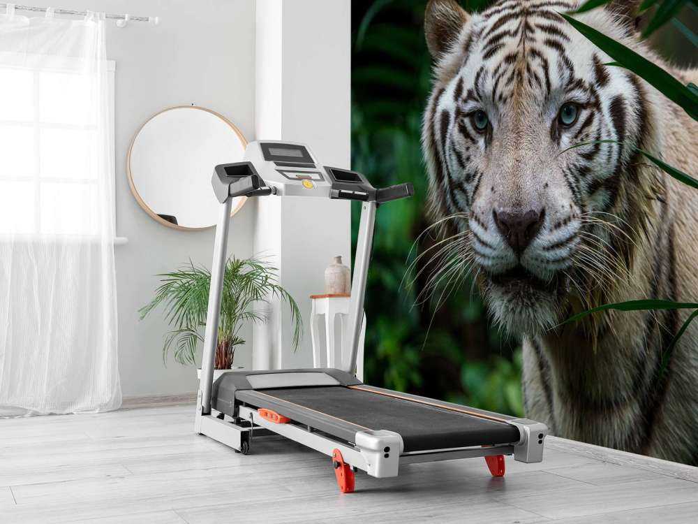 Weißer Tiger