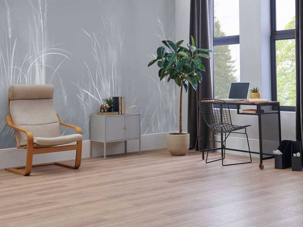 Natur Stimmung Staubige Rose